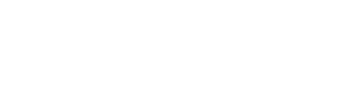 Logo P4M