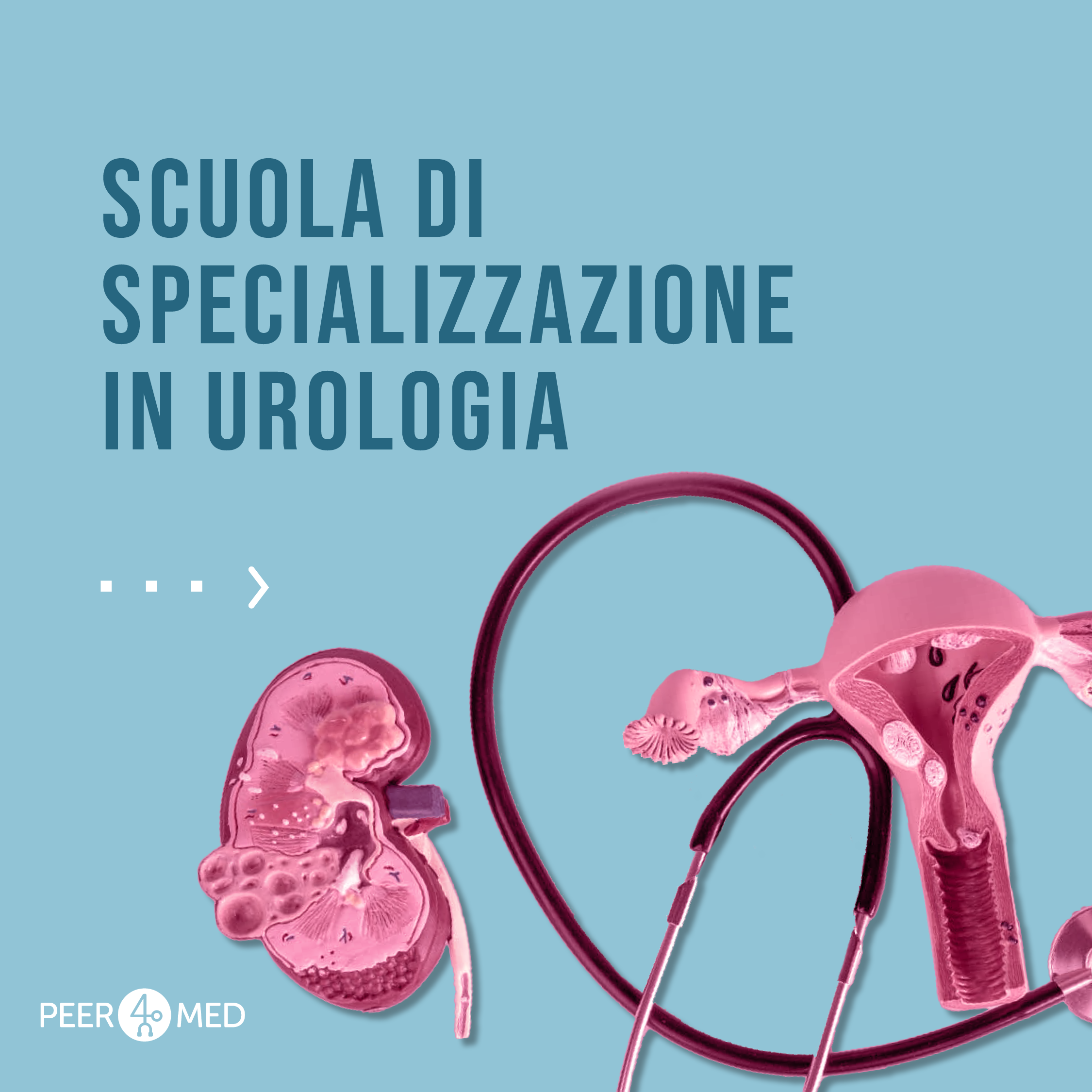 scuola di specializzazione in urologia